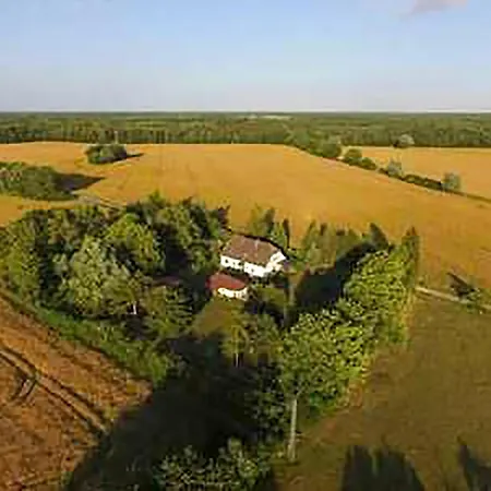 Am Waldrand Lejlighed