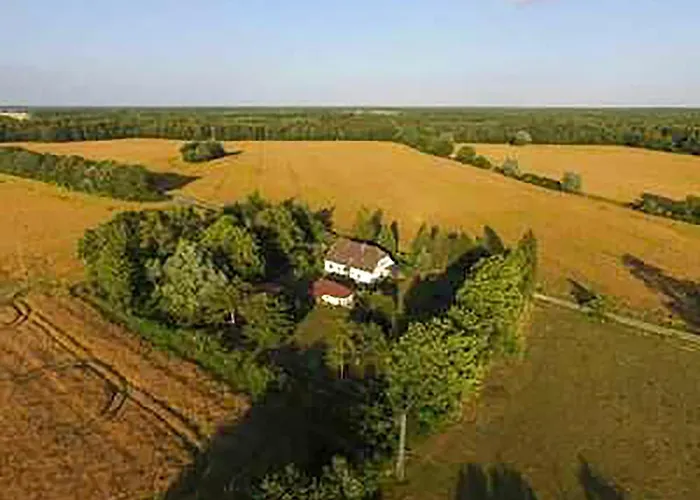 Am Waldrand Διαμέρισμα